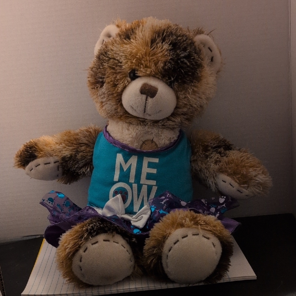 Build-A-Bear Patchwork Patches Teddy Bear with Meow shirt and purple tutu